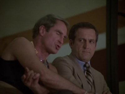 HILL_STREET_BLUES_-_E2X04_THE_SECOND_OLDEST_PROFESSION_446.jpg