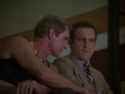 HILL_STREET_BLUES_-_E2X04_THE_SECOND_OLDEST_PROFESSION_463.jpg