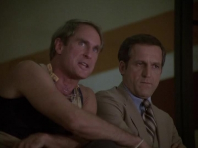 HILL_STREET_BLUES_-_E2X04_THE_SECOND_OLDEST_PROFESSION_472.jpg