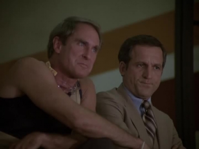 HILL_STREET_BLUES_-_E2X04_THE_SECOND_OLDEST_PROFESSION_476.jpg
