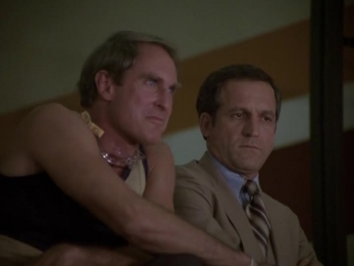 HILL_STREET_BLUES_-_E2X04_THE_SECOND_OLDEST_PROFESSION_481.jpg