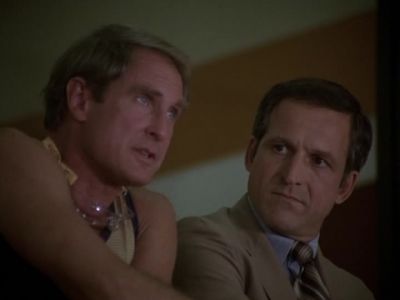 HILL_STREET_BLUES_-_E2X04_THE_SECOND_OLDEST_PROFESSION_561.jpg