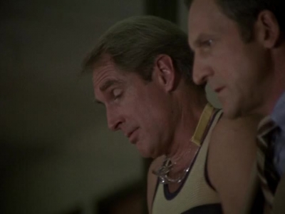 HILL_STREET_BLUES_-_E2X04_THE_SECOND_OLDEST_PROFESSION_705.jpg