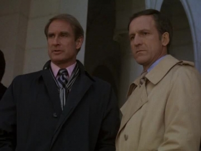 HILL_STREET_BLUES_-_E2X04_THE_SECOND_OLDEST_PROFESSION_807.jpg