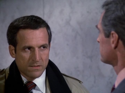 HILL_STREET_BLUES_-_E2X11_FREEDOMS_LAST_STAND_386.jpg