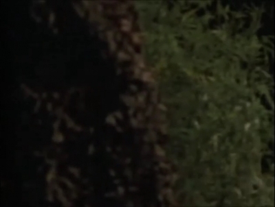 TOUR_OF_DUTY_-__E3X09_I_AM_WHAT_I_AM__0212.jpg