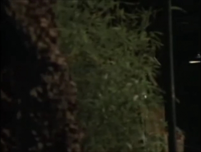 TOUR_OF_DUTY_-__E3X09_I_AM_WHAT_I_AM__0213.jpg