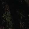 TOUR_OF_DUTY_-__E3X09_I_AM_WHAT_I_AM__0210.jpg