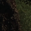 TOUR_OF_DUTY_-__E3X09_I_AM_WHAT_I_AM__0212.jpg