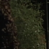 TOUR_OF_DUTY_-__E3X09_I_AM_WHAT_I_AM__0213.jpg