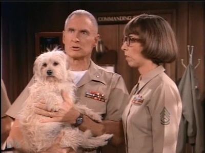 MAJOR_DAD_-_E2X23_ELMO_COME_HOME_163.jpg