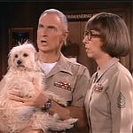 MAJOR_DAD_-_E2X23_ELMO_COME_HOME_164.jpg